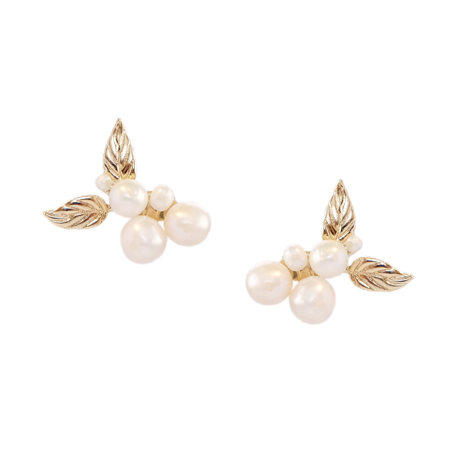Ara Earrings in Pearl