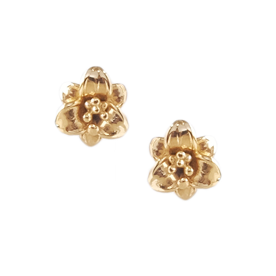 Gazer Stud Earrings in Gold